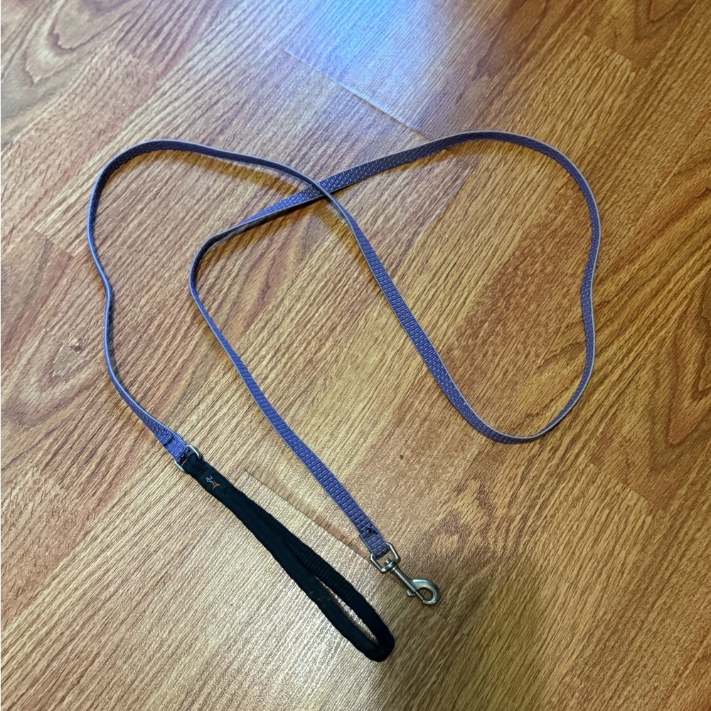 Pet | Dog Leash | Purple | Lupine Pet